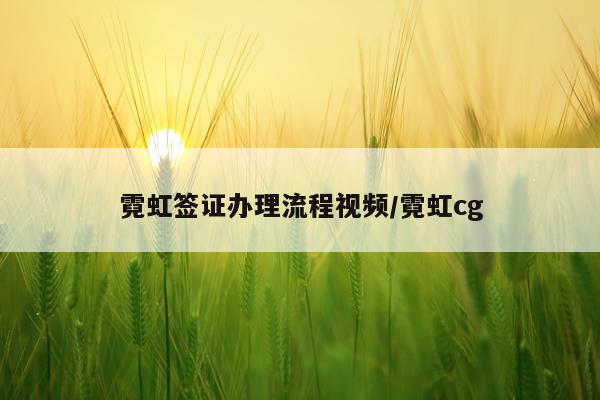 霓虹签证办理流程视频/霓虹cg