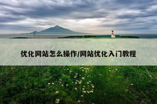 优化网站怎么操作/网站优化入门教程