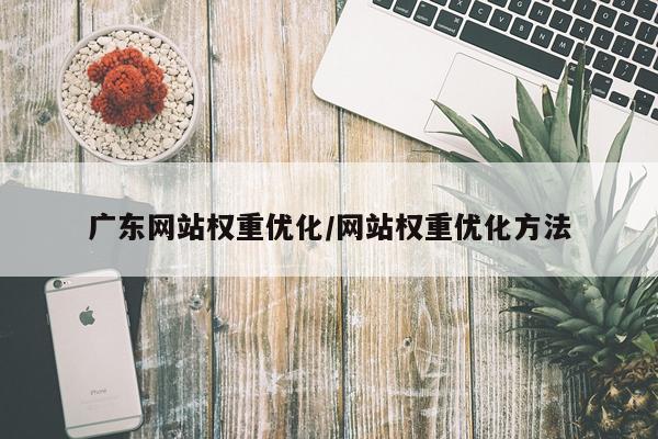 广东网站权重优化/网站权重优化方法