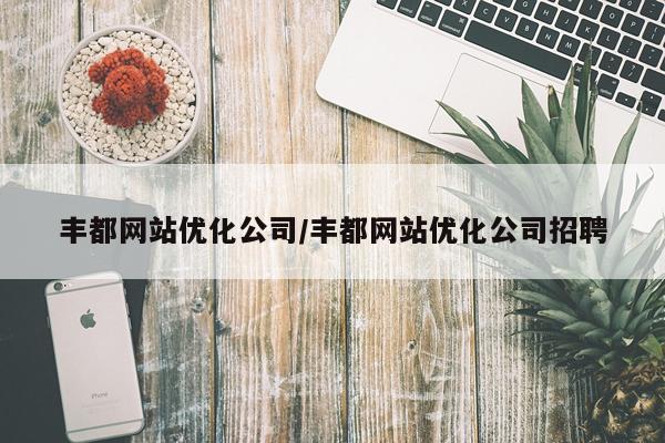 丰都网站优化公司/丰都网站优化公司招聘