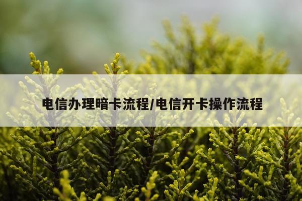 电信办理暗卡流程/电信开卡操作流程