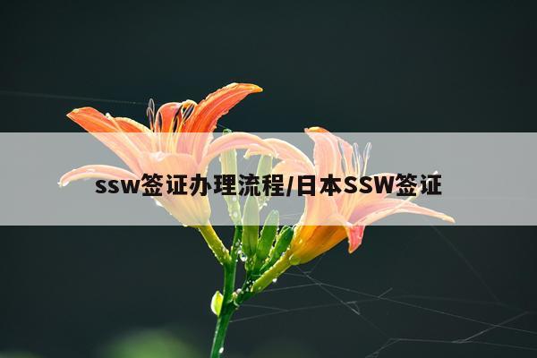 ssw签证办理流程/日本SSW签证