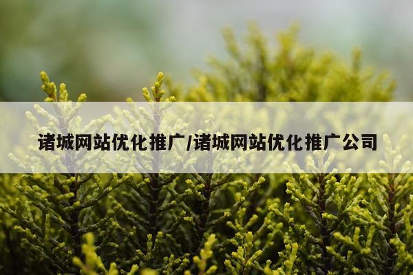 诸城网站优化推广/诸城网站优化推广公司