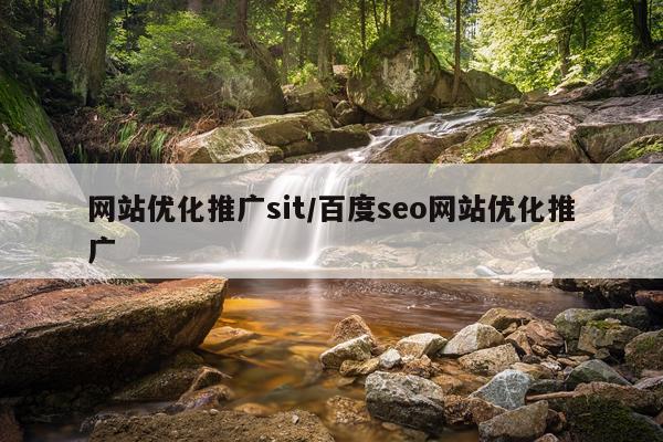 网站优化推广sit/百度seo网站优化推广