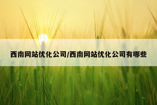西南网站优化公司/西南网站优化公司有哪些