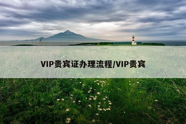 VIP贵宾证办理流程/VIP贵宾