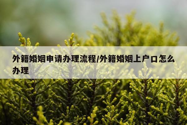 外籍婚姻申请办理流程/外籍婚姻上户口怎么办理