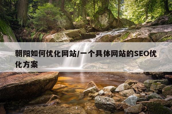 朝阳如何优化网站/一个具体网站的SEO优化方案