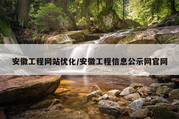 安徽工程网站优化/安徽工程信息公示网官网