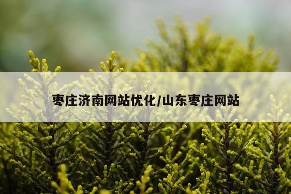 枣庄济南网站优化/山东枣庄网站