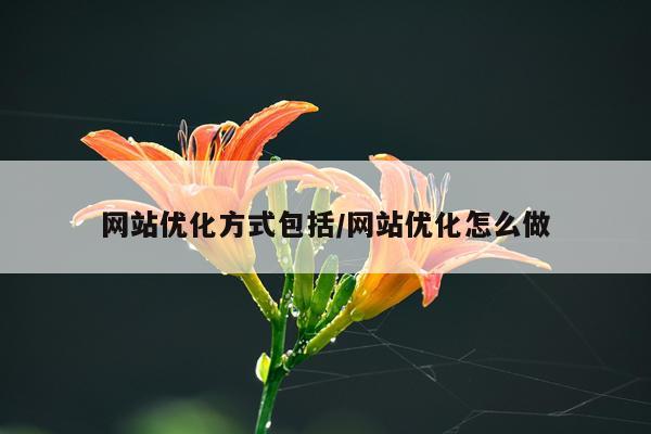 网站优化方式包括/网站优化怎么做