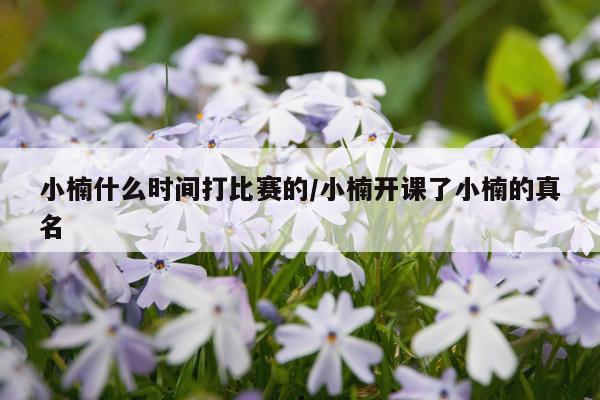小楠什么时间打比赛的/小楠开课了小楠的真名