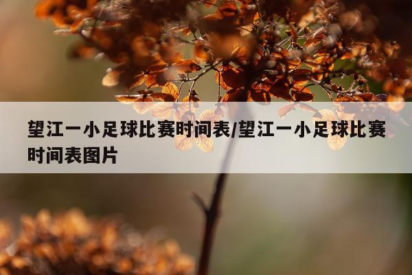 望江一小足球比赛时间表/望江一小足球比赛时间表图片
