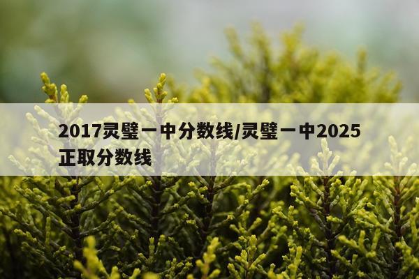 2017灵璧一中分数线/灵璧一中2025正取分数线