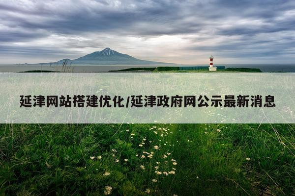 延津网站搭建优化/延津政府网公示最新消息