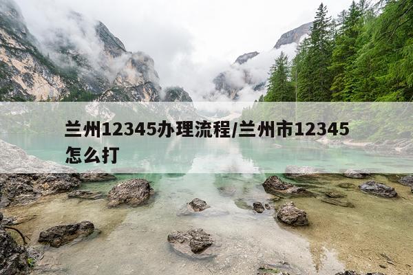 兰州12345办理流程/兰州市12345怎么打