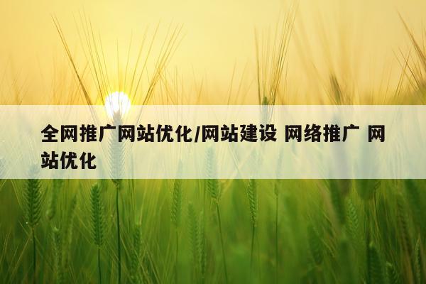 全网推广网站优化/网站建设 网络推广 网站优化