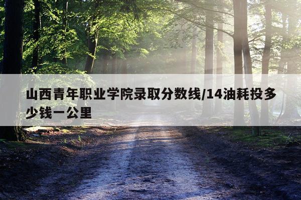 山西青年职业学院录取分数线/14油耗投多少钱一公里