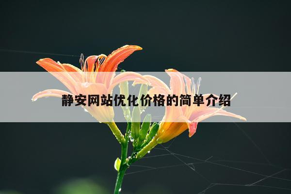 静安网站优化价格的简单介绍