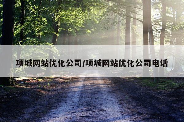 项城网站优化公司/项城网站优化公司电话