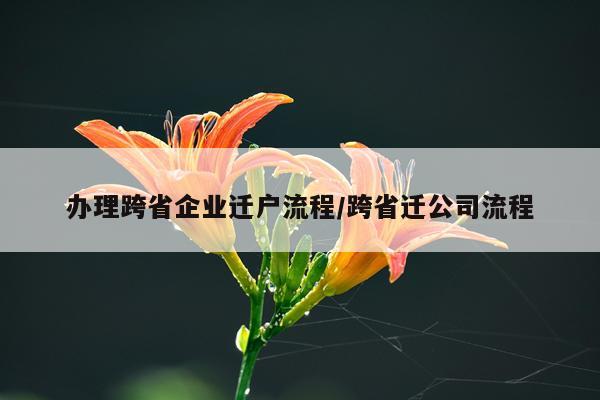 办理跨省企业迁户流程/跨省迁公司流程