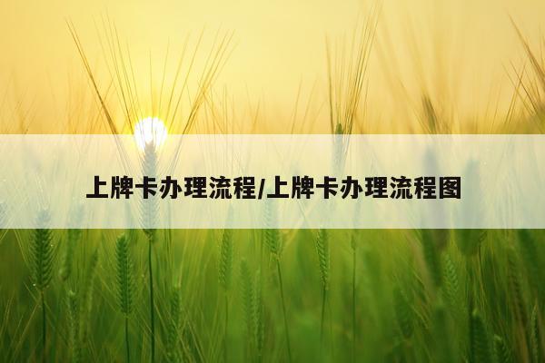 上牌卡办理流程/上牌卡办理流程图