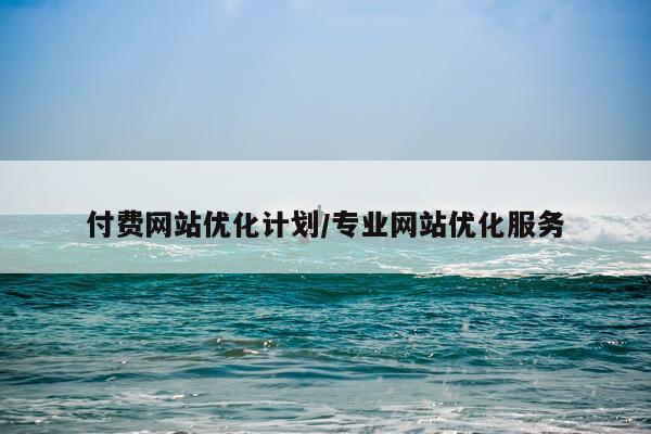 付费网站优化计划/专业网站优化服务