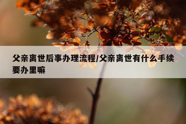 父亲离世后事办理流程/父亲离世有什么手续要办里嘛