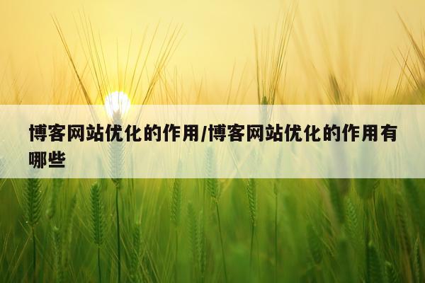 博客网站优化的作用/博客网站优化的作用有哪些