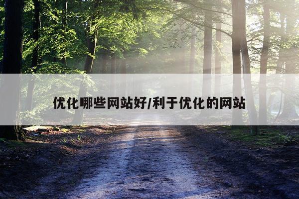 优化哪些网站好/利于优化的网站