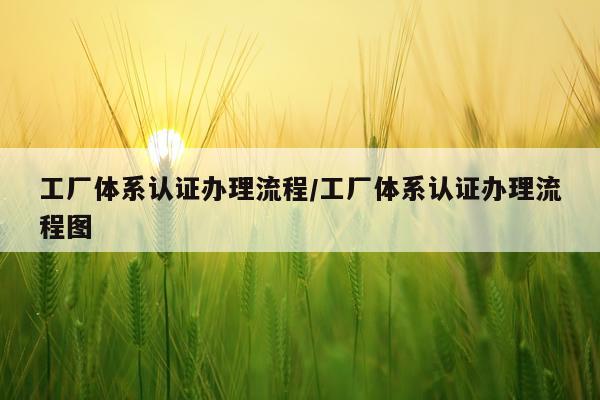 工厂体系认证办理流程/工厂体系认证办理流程图