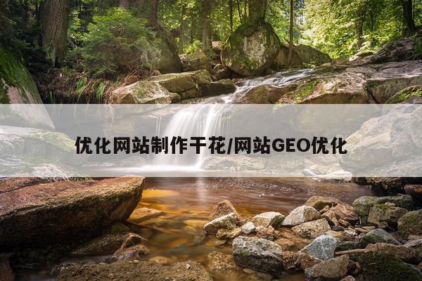 优化网站制作干花/网站GEO优化