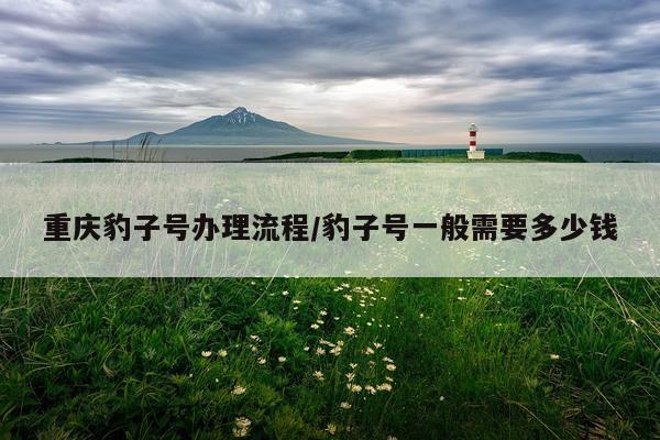 重庆豹子号办理流程/豹子号一般需要多少钱