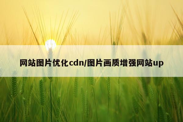 网站图片优化cdn/图片画质增强网站up