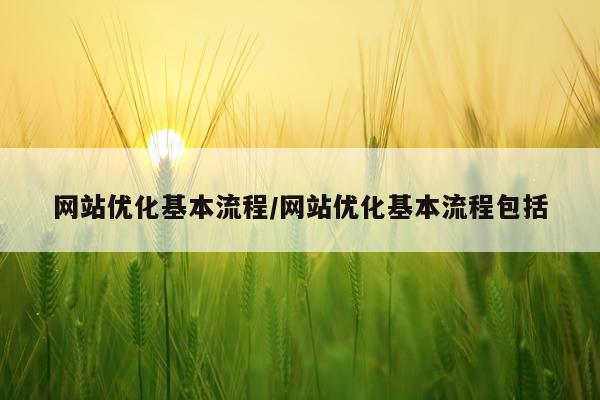 网站优化基本流程/网站优化基本流程包括