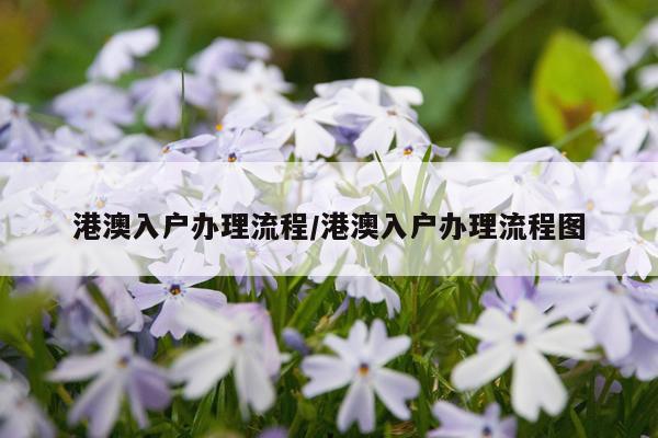 港澳入户办理流程/港澳入户办理流程图