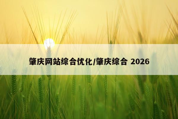 肇庆网站综合优化/肇庆综合 2026