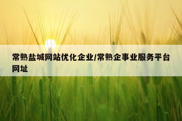 常熟盐城网站优化企业/常熟企事业服务平台网址