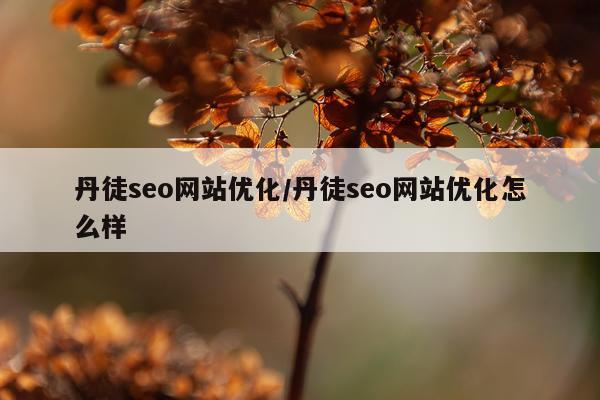 丹徒seo网站优化/丹徒seo网站优化怎么样