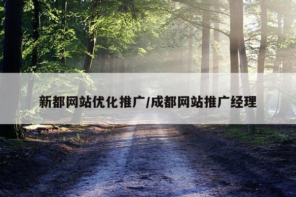 新都网站优化推广/成都网站推广经理