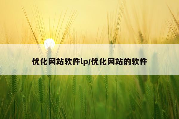 优化网站软件lp/优化网站的软件