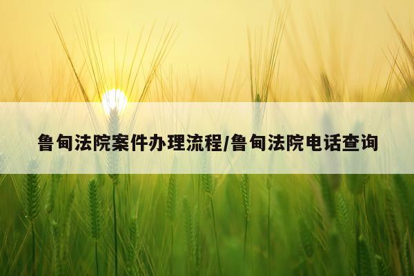 鲁甸法院案件办理流程/鲁甸法院电话查询