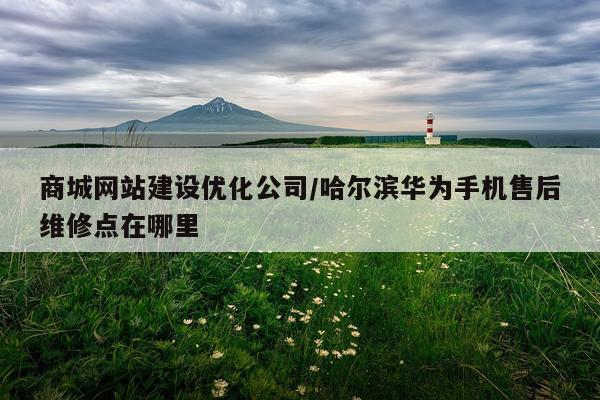 商城网站建设优化公司/哈尔滨华为手机售后维修点在哪里