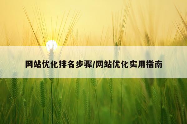 网站优化排名步骤/网站优化实用指南