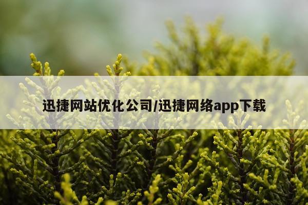 迅捷网站优化公司/迅捷网络app下载