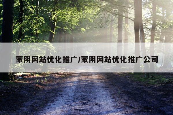 蒙阴网站优化推广/蒙阴网站优化推广公司