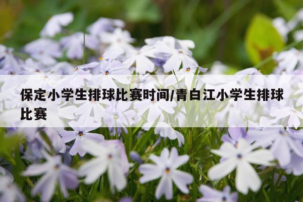 保定小学生排球比赛时间/青白江小学生排球比赛