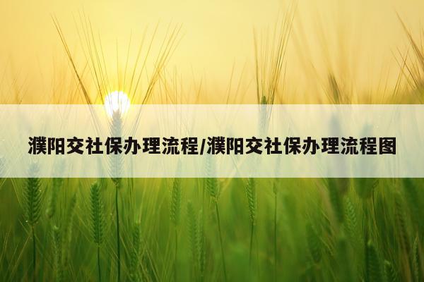 濮阳交社保办理流程/濮阳交社保办理流程图