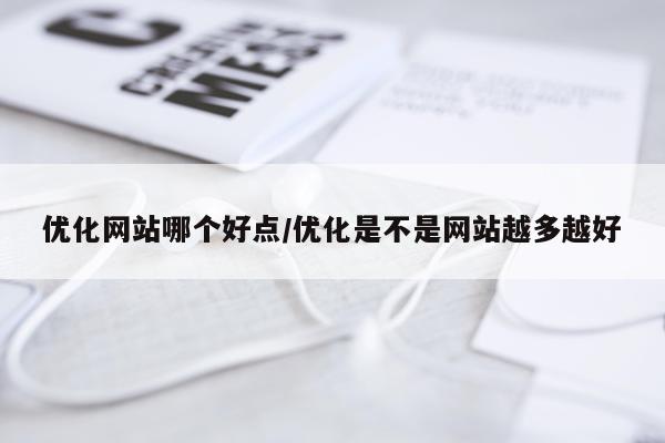 优化网站哪个好点/优化是不是网站越多越好