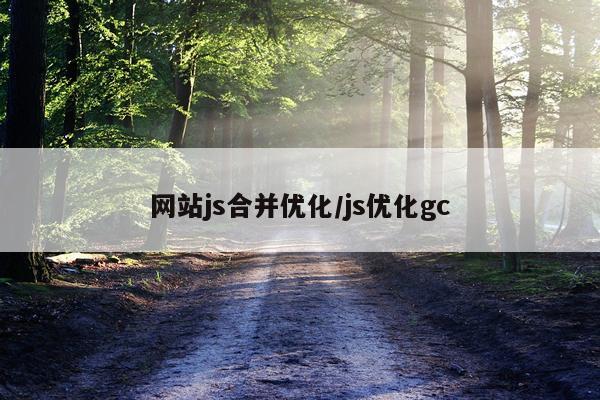 网站js合并优化/js优化gc